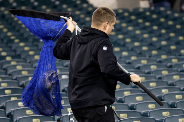Most polite and hygienic Eagles fan being removed from the Linc.